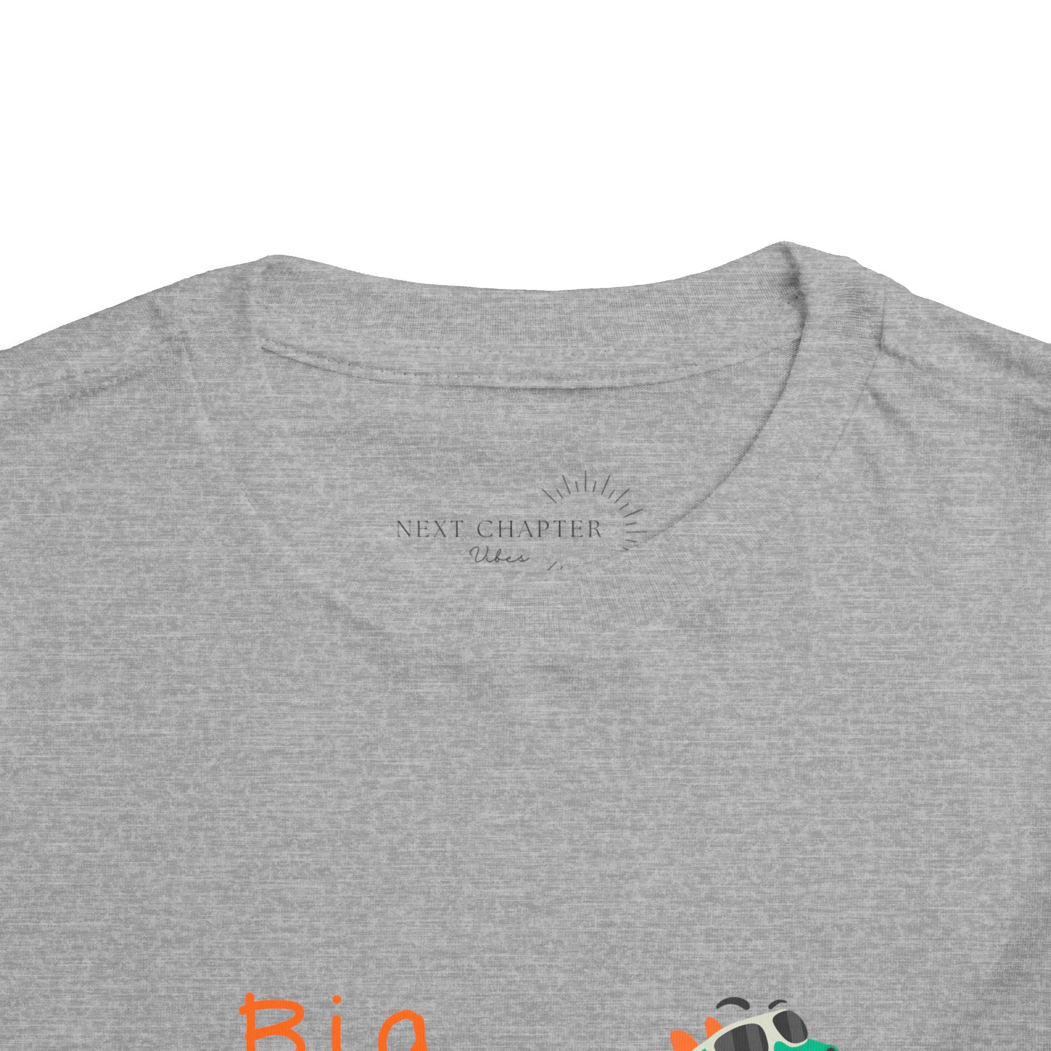 Big Brother Dinosaur Toddler Tee, Cute Kids Shirt, Baby Gift, Birthday Outfit, Sibling Announcement, T-Rex Fun